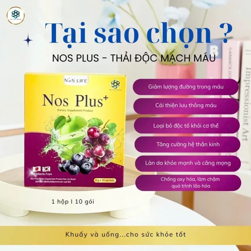 NOS PLUS - THẢI ĐỘC MÁU - HỘP 40GR ( 10 GÓI )